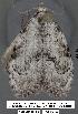  ( - 1790-COI-07)  @12 [ ] Unspecified (default): All Rights Reserved  Unspecified Unspecified