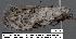  ( - 1791-COI-07)  @12 [ ] Unspecified (default): All Rights Reserved  Unspecified Unspecified