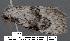  ( - 1792-COI-07)  @13 [ ] Unspecified (default): All Rights Reserved  Unspecified Unspecified