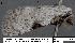  ( - 1796-COI-07)  @12 [ ] Unspecified (default): All Rights Reserved  Unspecified Unspecified