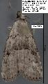  ( - 1804-COI-07)  @12 [ ] Unspecified (default): All Rights Reserved  Unspecified Unspecified