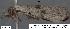 ( - 1805-COI-07)  @12 [ ] Unspecified (default): All Rights Reserved  Unspecified Unspecified