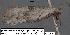  ( - 1806-COI-07)  @12 [ ] Unspecified (default): All Rights Reserved  Unspecified Unspecified