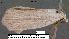  ( - 1815-COI-07)  @12 [ ] Unspecified (default): All Rights Reserved  Unspecified Unspecified