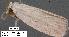  ( - 1816-COI-07)  @12 [ ] Unspecified (default): All Rights Reserved  Unspecified Unspecified