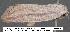  ( - 1817-COI-07)  @13 [ ] Unspecified (default): All Rights Reserved  Unspecified Unspecified