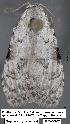  ( - 1820-COI-07)  @12 [ ] Unspecified (default): All Rights Reserved  Unspecified Unspecified