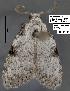  ( - 1821-COI-07)  @12 [ ] Unspecified (default): All Rights Reserved  Unspecified Unspecified