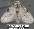  ( - 1822-COI-07)  @13 [ ] Unspecified (default): All Rights Reserved  Unspecified Unspecified