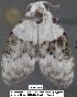  ( - 1824-COI-07)  @11 [ ] Unspecified (default): All Rights Reserved  Unspecified Unspecified