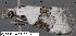  ( - 1825-COI-07)  @12 [ ] Unspecified (default): All Rights Reserved  Unspecified Unspecified