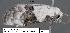  ( - 1826-COI-07)  @12 [ ] Unspecified (default): All Rights Reserved  Unspecified Unspecified
