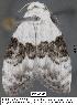 ( - 1827-COI-07)  @12 [ ] Unspecified (default): All Rights Reserved  Unspecified Unspecified