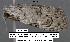  ( - 1828-COI-07)  @12 [ ] Unspecified (default): All Rights Reserved  Unspecified Unspecified