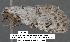  ( - 1830-COI-07)  @12 [ ] Unspecified (default): All Rights Reserved  Unspecified Unspecified