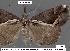  ( - 1837-COI-07)  @11 [ ] Unspecified (default): All Rights Reserved  Unspecified Unspecified