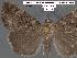  ( - 1838-COI-07)  @11 [ ] Unspecified (default): All Rights Reserved  Unspecified Unspecified