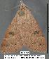  ( - 1841-COI-07)  @12 [ ] Unspecified (default): All Rights Reserved  Unspecified Unspecified
