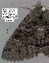  ( - 1846-COI-07)  @12 [ ] Unspecified (default): All Rights Reserved  Unspecified Unspecified