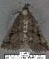  ( - 1861-COI-07)  @12 [ ] Unspecified (default): All Rights Reserved  Unspecified Unspecified