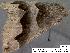  ( - 1867-COI-07)  @12 [ ] Unspecified (default): All Rights Reserved  Unspecified Unspecified