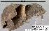  ( - 1868-COI-07)  @12 [ ] Unspecified (default): All Rights Reserved  Unspecified Unspecified
