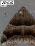  ( - 1869-COI-07)  @12 [ ] Unspecified (default): All Rights Reserved  Unspecified Unspecified