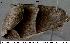  ( - 1870-COI-07)  @12 [ ] Unspecified (default): All Rights Reserved  Unspecified Unspecified