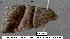  ( - 1871-COI-07)  @13 [ ] Unspecified (default): All Rights Reserved  Unspecified Unspecified