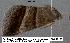  ( - 1873-COI-07)  @13 [ ] Unspecified (default): All Rights Reserved  Unspecified Unspecified