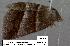  ( - 1874-COI-07)  @13 [ ] Unspecified (default): All Rights Reserved  Unspecified Unspecified