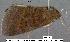  ( - 1878-COI-07)  @12 [ ] Unspecified (default): All Rights Reserved  Unspecified Unspecified
