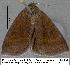  ( - 1879-COI-07)  @13 [ ] Unspecified (default): All Rights Reserved  Unspecified Unspecified
