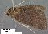  ( - 1881-COI-07)  @12 [ ] Unspecified (default): All Rights Reserved  Unspecified Unspecified