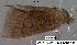  ( - 1882-COI-07)  @12 [ ] Unspecified (default): All Rights Reserved  Unspecified Unspecified