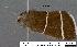  ( - 1886-COI-07)  @12 [ ] Unspecified (default): All Rights Reserved  Unspecified Unspecified