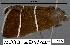  ( - 1887-COI-07)  @12 [ ] Unspecified (default): All Rights Reserved  Unspecified Unspecified