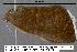  ( - 1888-COI-07)  @12 [ ] Unspecified (default): All Rights Reserved  Unspecified Unspecified