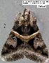  ( - 1902-COI-07)  @11 [ ] Unspecified (default): All Rights Reserved  Unspecified Unspecified