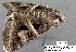 ( - 1903-COI-07)  @11 [ ] Unspecified (default): All Rights Reserved  Unspecified Unspecified