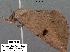  ( - 1904-COI-07)  @13 [ ] Unspecified (default): All Rights Reserved  Unspecified Unspecified