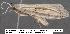  ( - 1905-COI-07)  @13 [ ] Unspecified (default): All Rights Reserved  Unspecified Unspecified