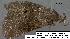  ( - 1906-COI-07)  @12 [ ] Unspecified (default): All Rights Reserved  Unspecified Unspecified