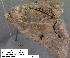  ( - 1912-COI-07)  @12 [ ] Unspecified (default): All Rights Reserved  Unspecified Unspecified