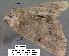  ( - 1913-COI-07)  @12 [ ] Unspecified (default): All Rights Reserved  Unspecified Unspecified