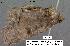  ( - 1920-COI-07)  @12 [ ] Unspecified (default): All Rights Reserved  Unspecified Unspecified