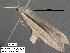  ( - 1923-COI-07)  @12 [ ] Unspecified (default): All Rights Reserved  Unspecified Unspecified