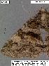  ( - 1927-COI-07)  @11 [ ] Unspecified (default): All Rights Reserved  Unspecified Unspecified