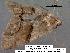  ( - 1928-COI-07)  @12 [ ] Unspecified (default): All Rights Reserved  Unspecified Unspecified