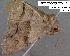  ( - 1929-COI-07)  @12 [ ] Unspecified (default): All Rights Reserved  Unspecified Unspecified
